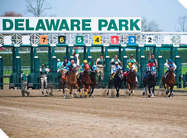 delaware park casino sports book