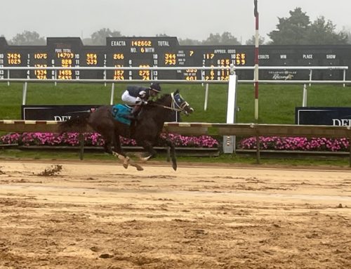 Copper Tax notches fourth consecutive in Rocky Run Stakes
