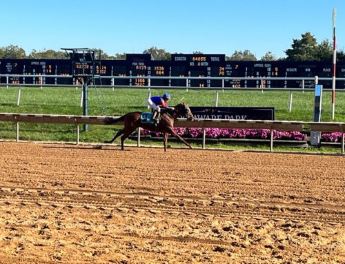 Ringy Dingy takes White Clay Creek Stakes
