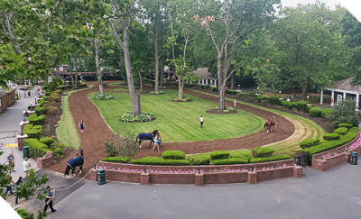 The Terrace - Delaware Park