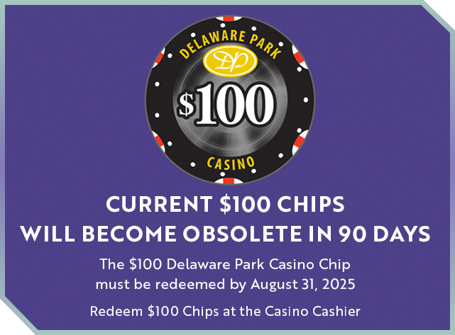 Chip100_W