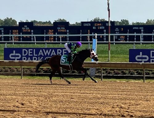 Jumping the Gun tries two turns in  White Clay Creek Stakes this Saturday