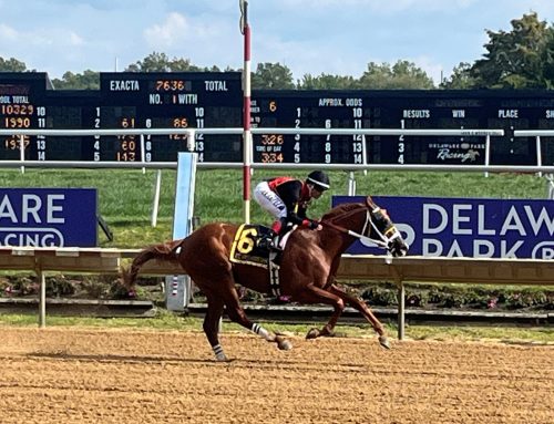 Two turns next test for promising Probably Dreaming in Rocky Run Stakes this Saturday