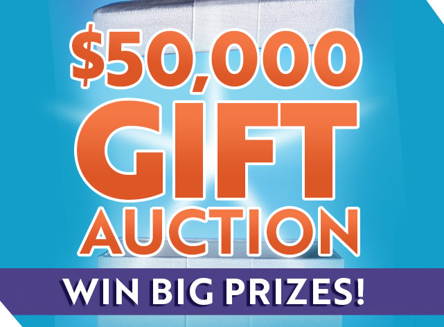 641x473GiftAuction_W