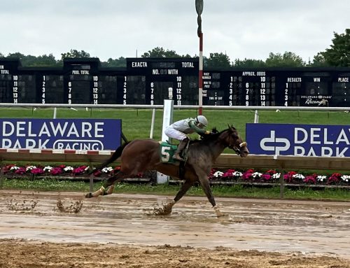 Miss Fulton Gal splashes to Christiana Stakes victory