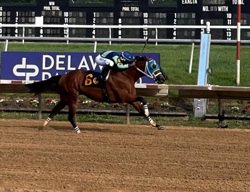 Big Cuddle wins second running of Delaware Derby
