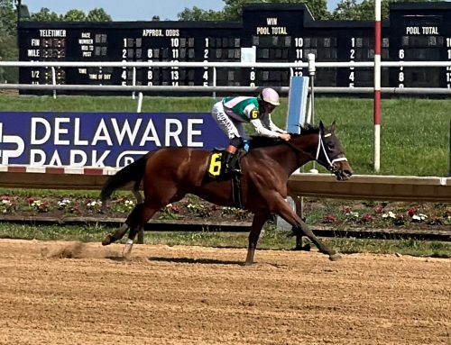 Chasten takes Obeah Stakes