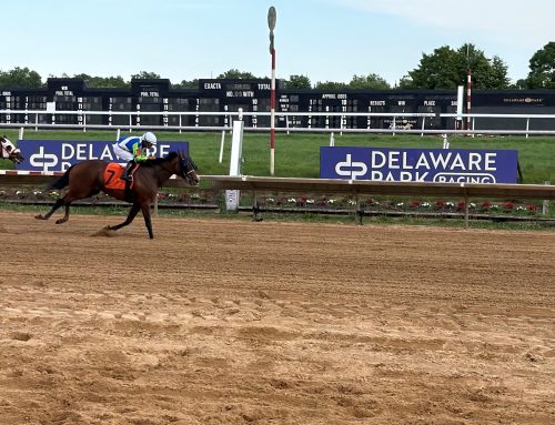 Luv Your Neighbor gets win in Delaware Oaks