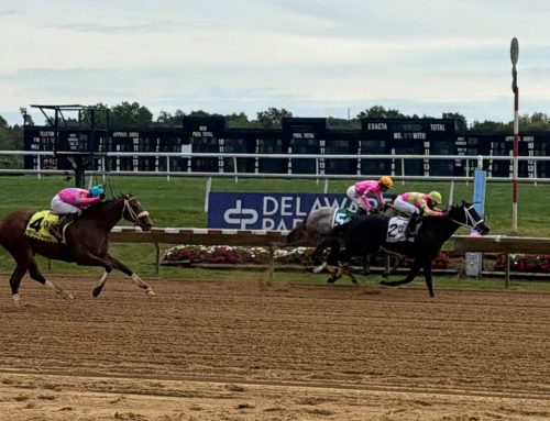 Martiniwithatwist takes Small Wonder Stakes