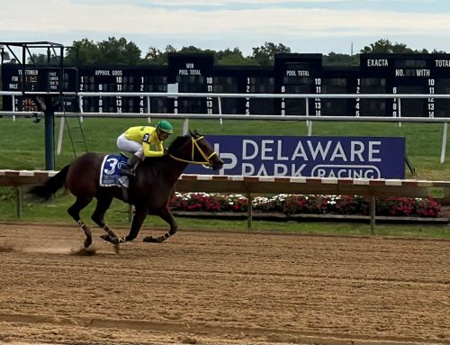 Irish Jig scores in Tax Free Shopping Distaff