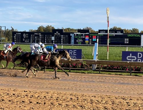 Quint’s Brew takes Wilmington Stakes
