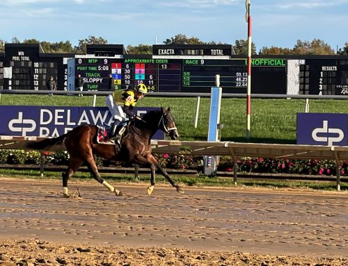Maida takes Endine Stakes